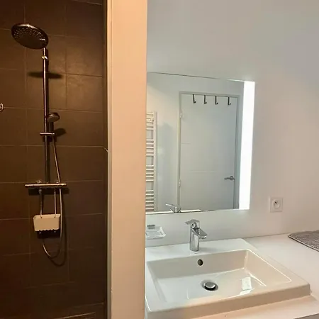 2-6 Pers, Jardin, Plage, Piscine, Parking, Animaux Admis - Fr-1-194-223